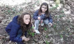 Classe Decouverte   077